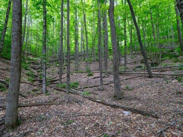 Land for sale in Plymouth, Vermont