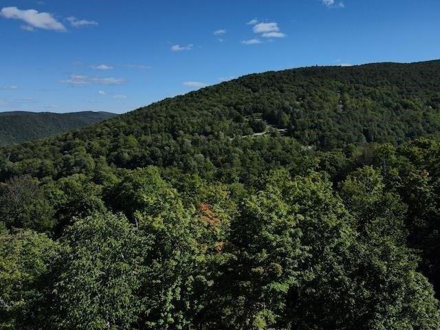 Land for sale in Plymouth, Windsor County