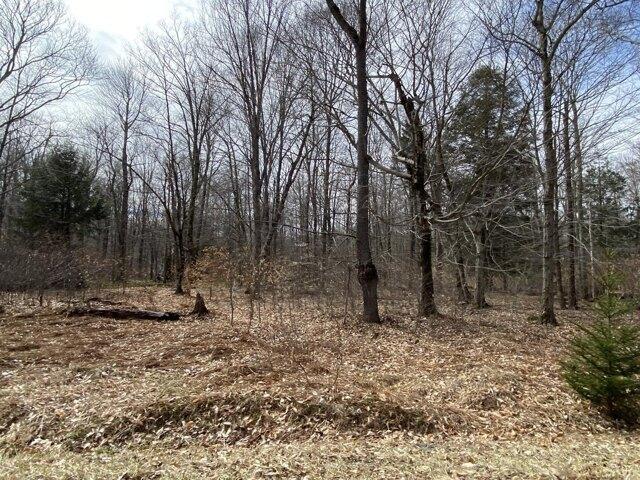 Land for sale in Pocono Lake, Pennsylvania