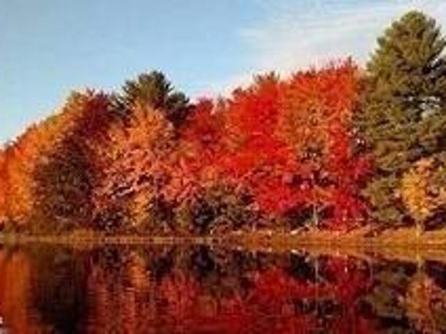 Land for sale in Pocono Lake, Pennsylvania