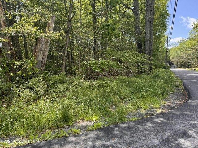 Land for sale in Cresco, Pennsylvania