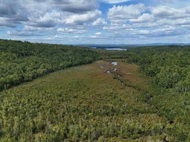 Land for sale in Poland, Maine