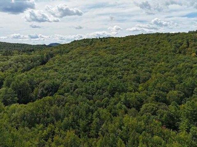Land for sale in Poland, Maine