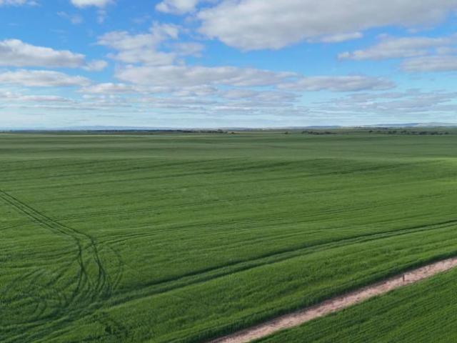 Land for sale in Port Broughton, Barunga West Council