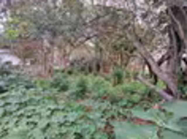 Land for sale in Port Edward, Hibiscus Coast Local Municipality