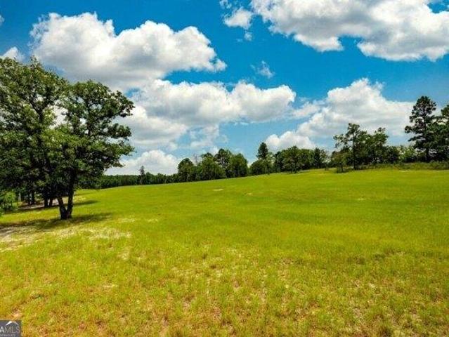 Land for sale in Georgia