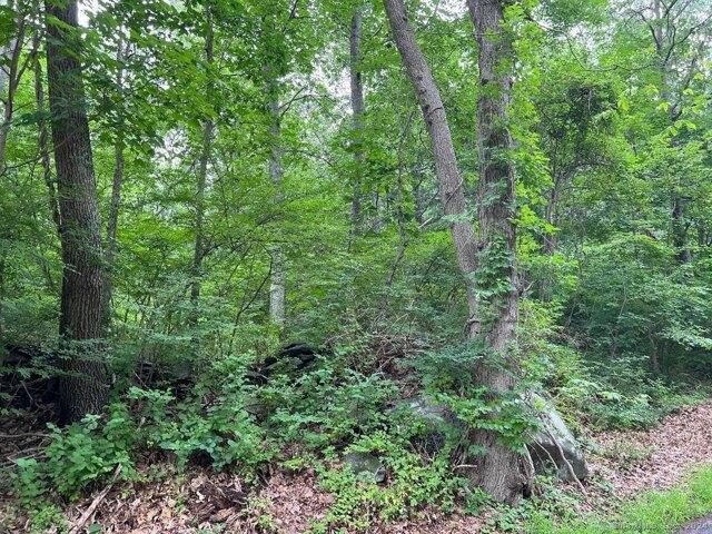 Land for sale in Portland, Connecticut