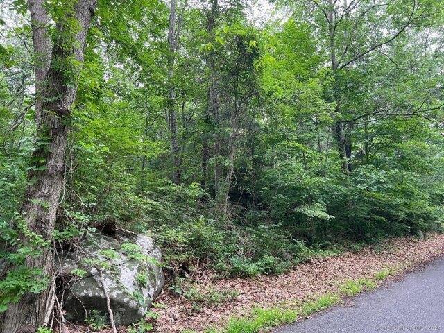Land for sale in Portland, Connecticut