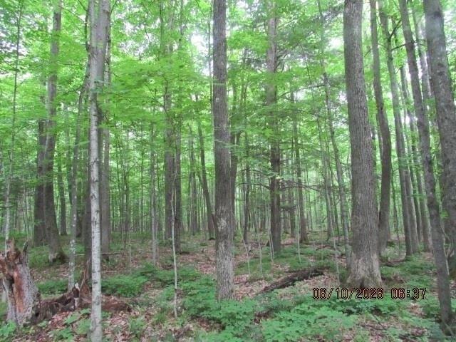 Land for sale in Madrid, New York