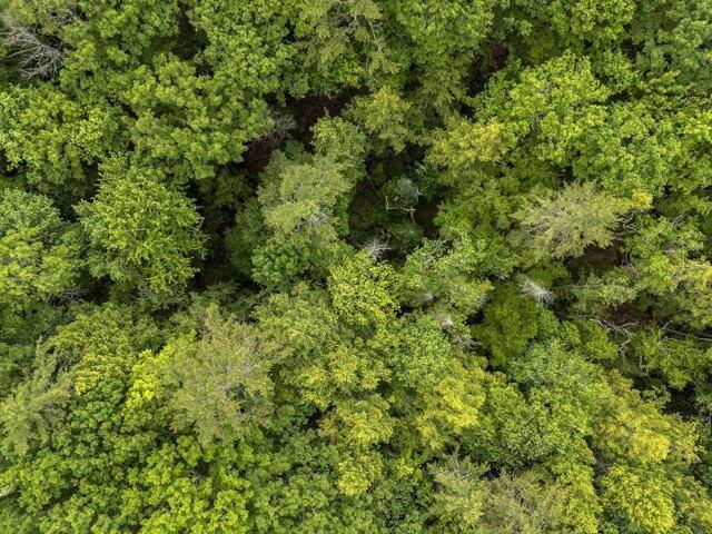 Land for sale in Pownal, Maine