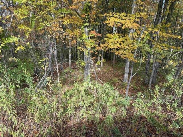 Land for sale in Bennington, Vermont