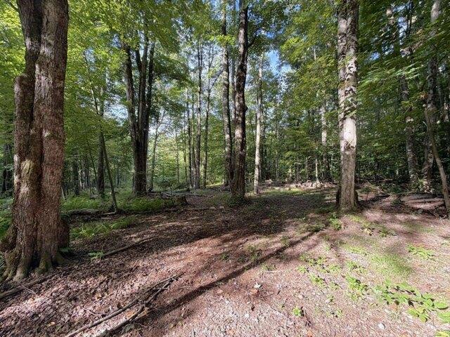 Land for sale in Pownal