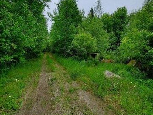 Land for sale in Princeton, Maine
