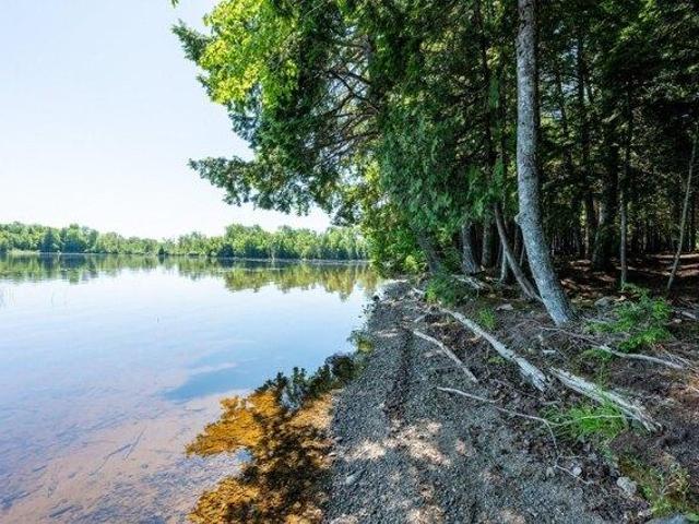 Land for sale in Princeton, Maine
