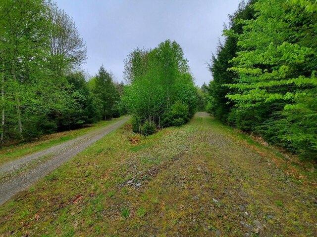 Land for sale in Princeton, Maine