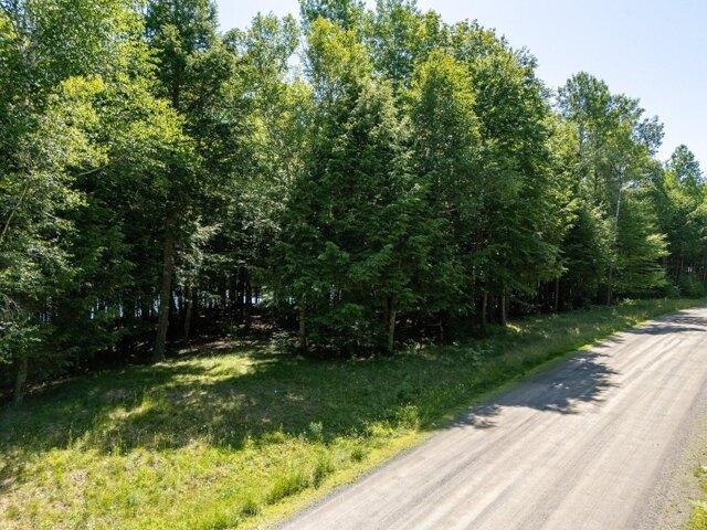 Land for sale in Princeton, Maine