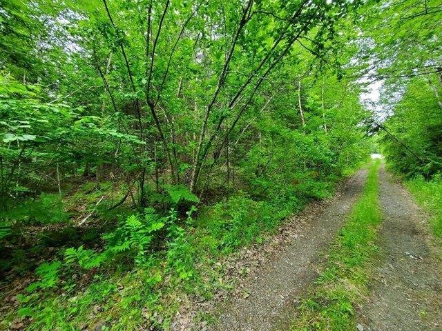 Land for sale in Princeton, Maine