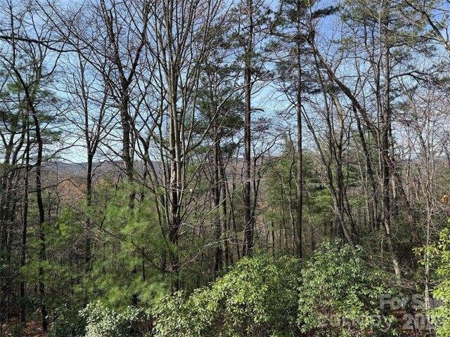Land for sale in North Carolina