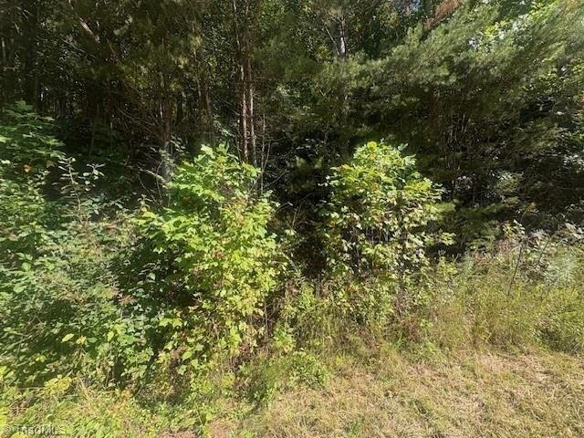 Land for sale in North Carolina