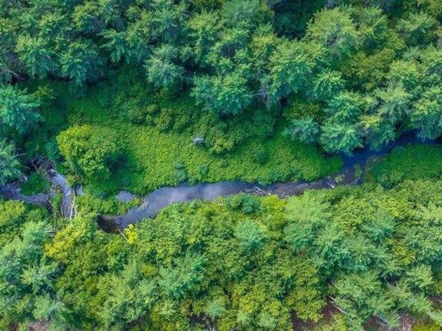 Land for sale in Putney, Vermont