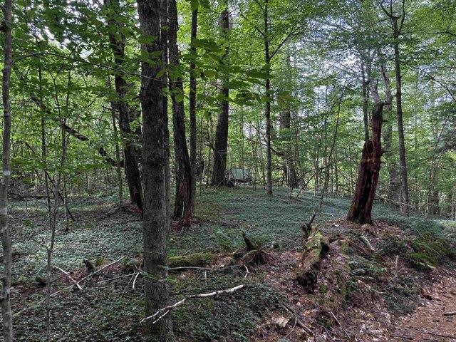 Land for sale in Putney, Vermont