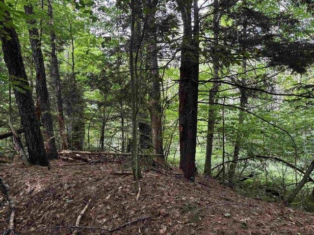 Land for sale in Putney, Windham County