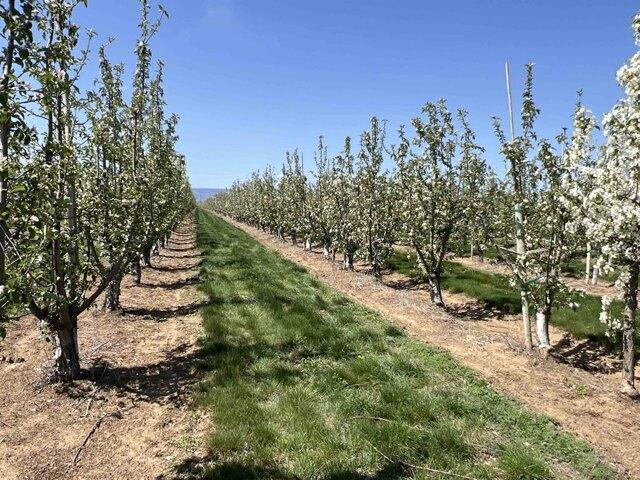 Land for sale in Quincy