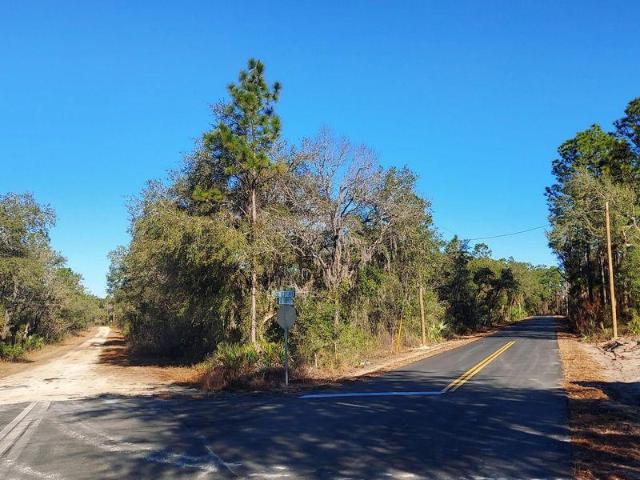 Land for sale in Florida