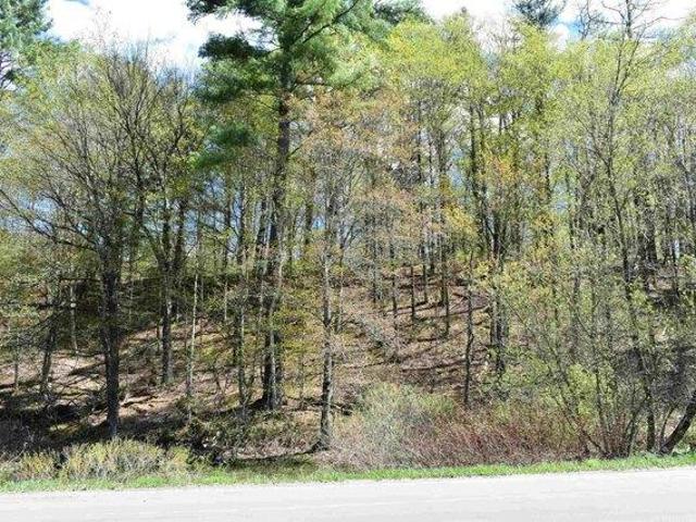 Land for sale in Randolph, Vermont