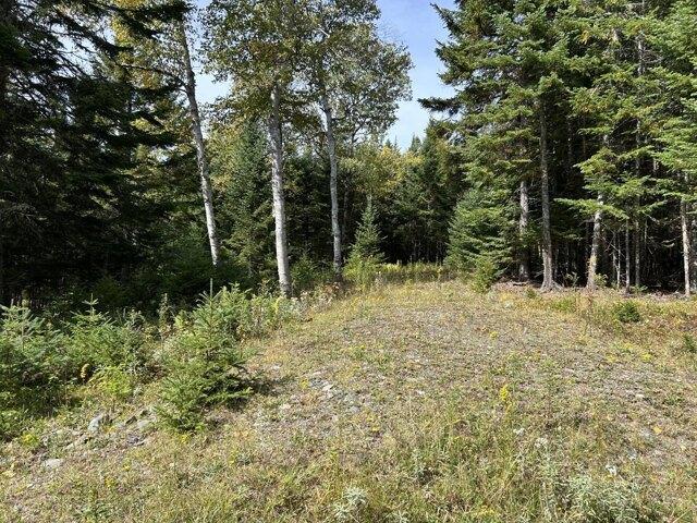Land for sale in Rangeley, Franklin County