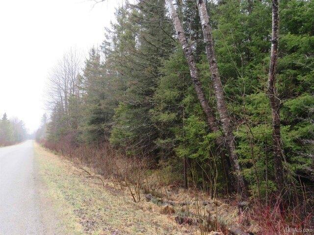Land for sale in Rapid River, Michigan