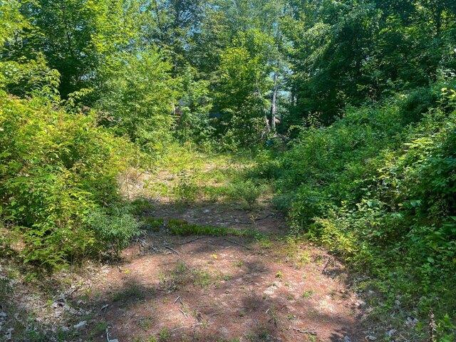 Land for sale in Casco, Maine