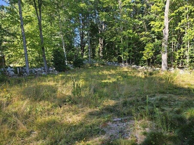 Land for sale in Raymond, Maine