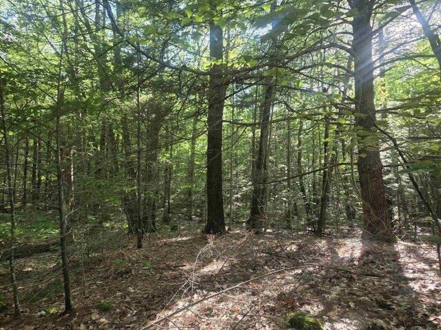 Land for sale in New Hampshire