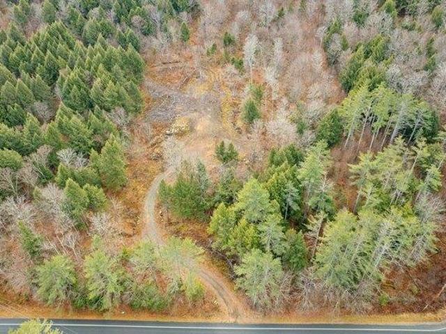 Land for sale in Reading, Vermont