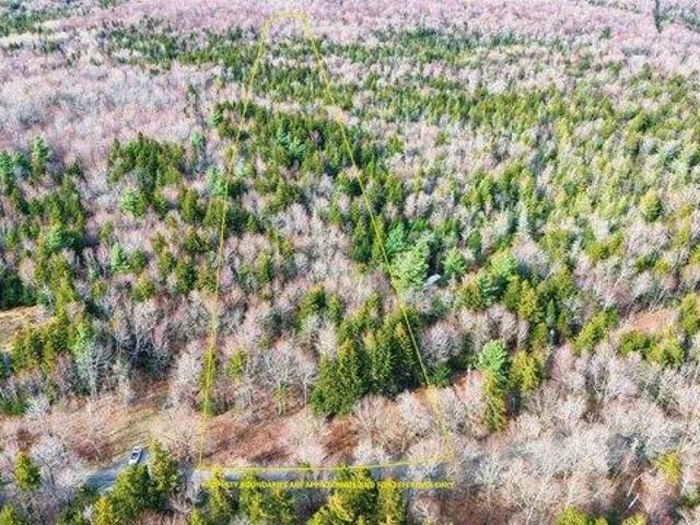 Land for sale in Bennington, Vermont