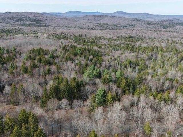 Land for sale in Bennington, Vermont