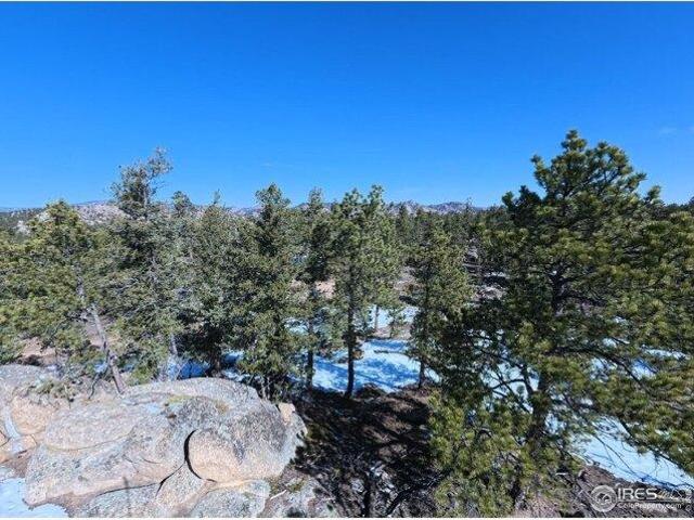 Land for sale in Red Feather Lakes, Colorado