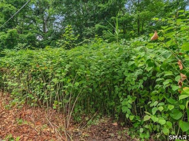 Land for sale in Redding, Connecticut