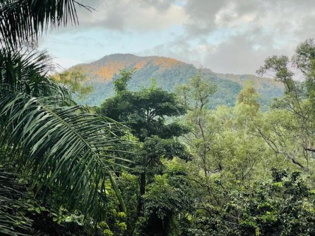 Land for sale in Redlynch, Queensland