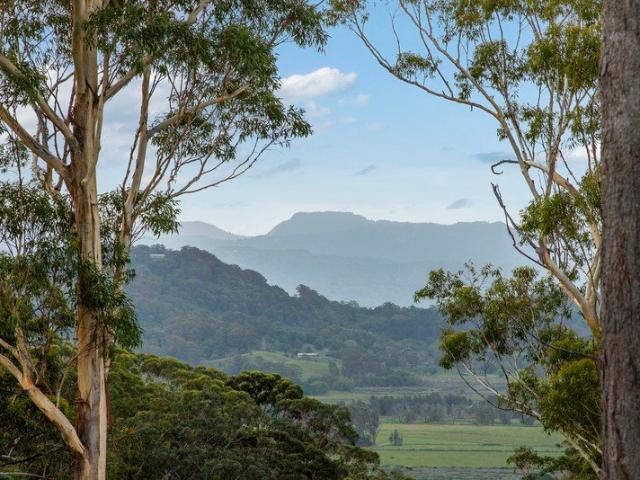 Land for sale in Tanglewood, New South Wales