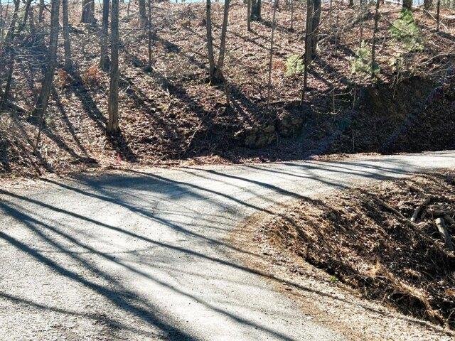 Land for sale in Reliance, Tennessee