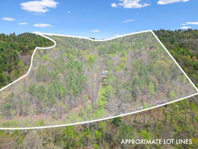 Land for sale in Reliance, Tennessee