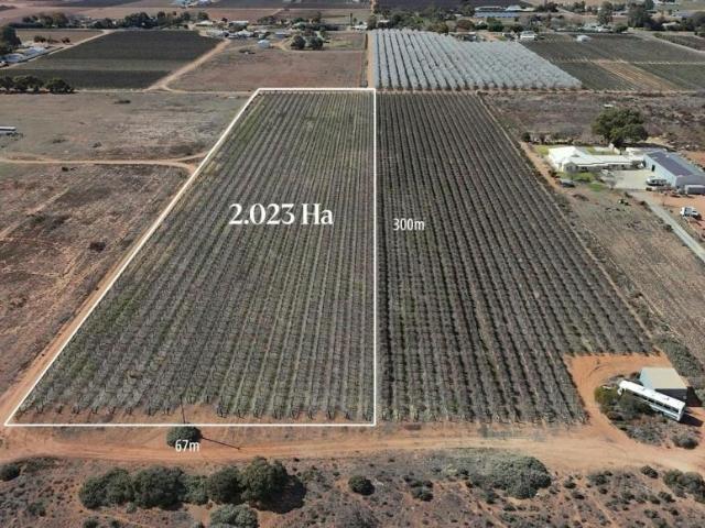 Land for sale in Renmark, Renmark Paringa Council