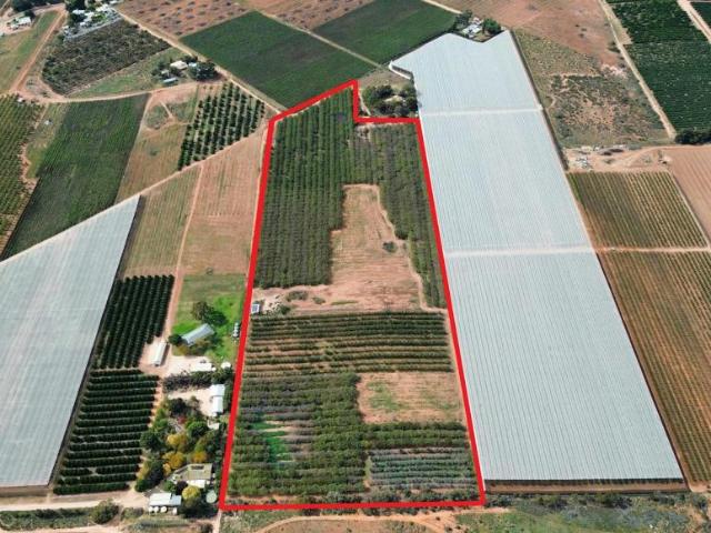 Land for sale in Renmark, Renmark Paringa Council