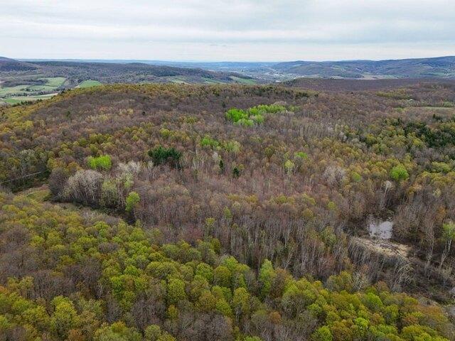 Land for sale in New York