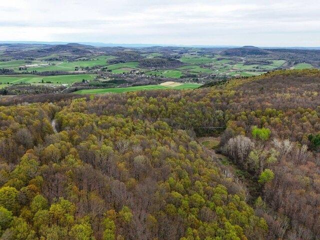 Land for sale in New York