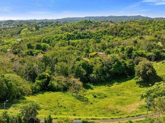 Land for sale in Rincon