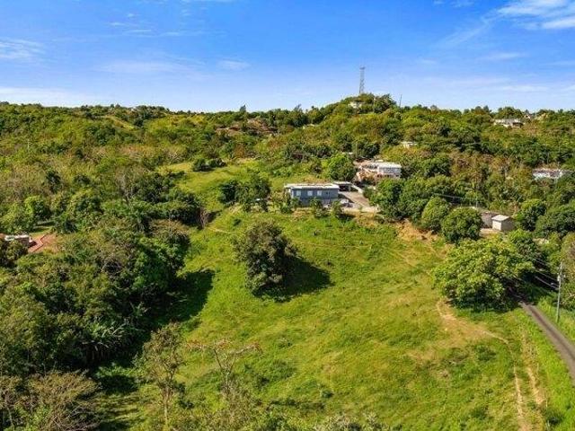 Land for sale in Rincon