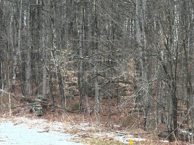 Land for sale in New Hampshire